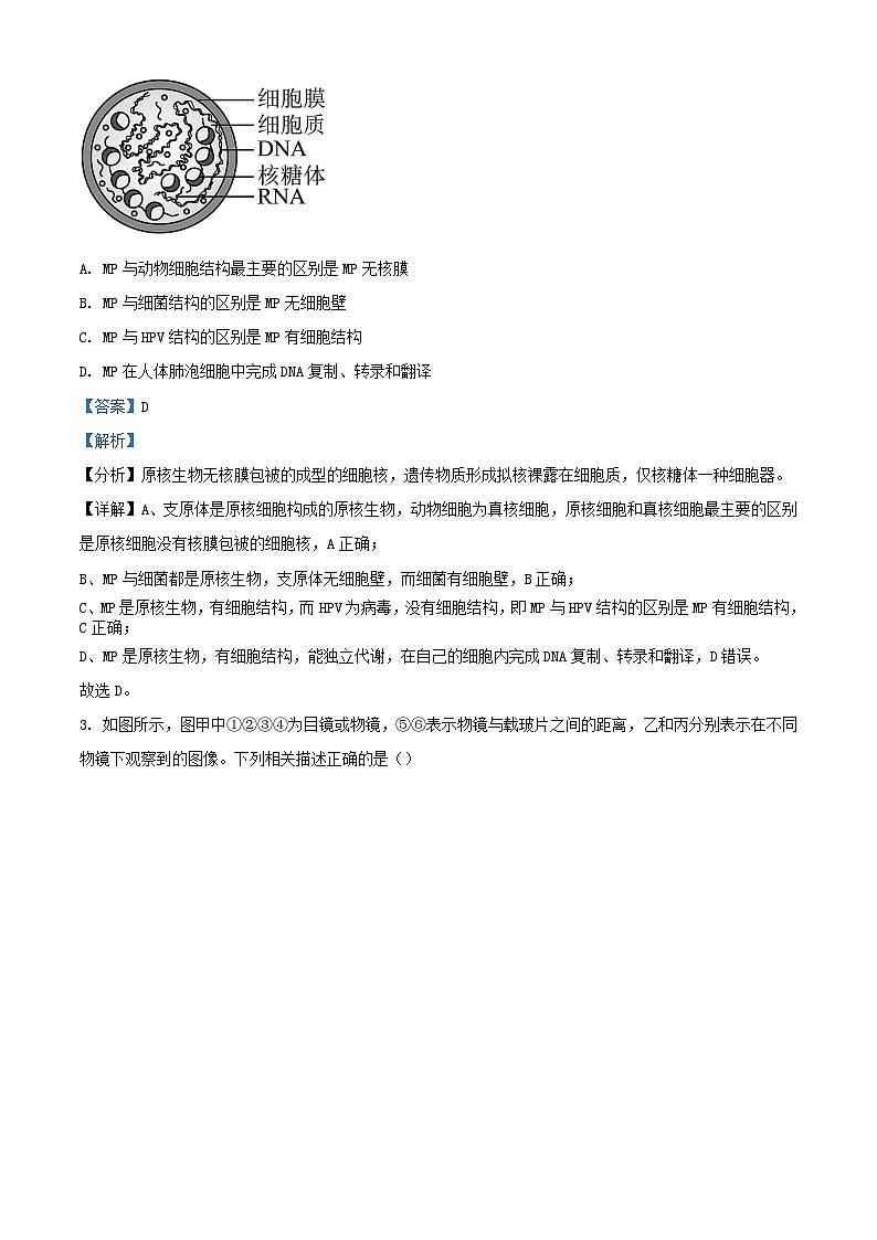 江西省上饶市2023_2024学年高一生物上学期期中试题含解析第2页