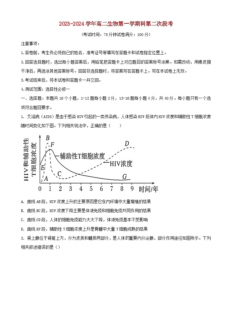 广东省2023_2024学年高二生物上学期第二次月考试题含解析第1页