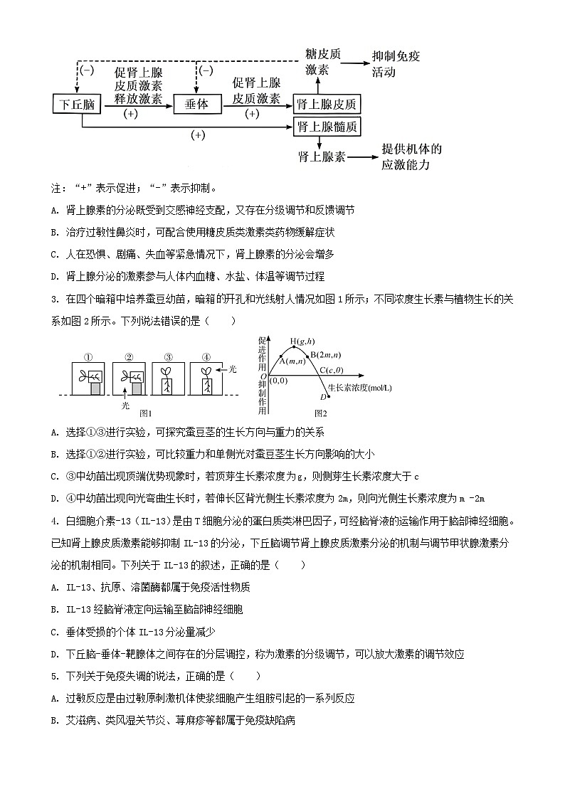 广东省2023_2024学年高二生物上学期第二次月考试题含解析第2页