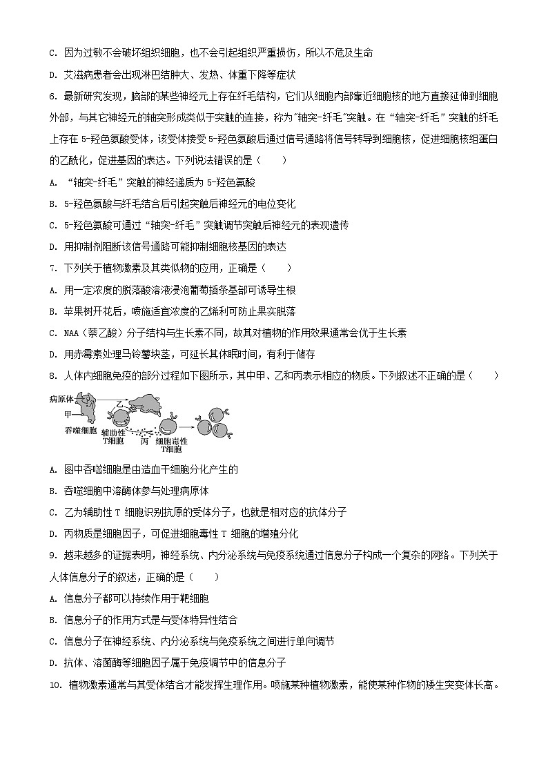 广东省2023_2024学年高二生物上学期第二次月考试题含解析第3页