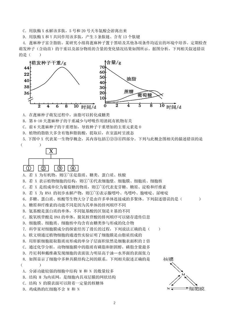 广东诗莞市2023_2024学年高一生物上学期11月期中试题pdf第2页