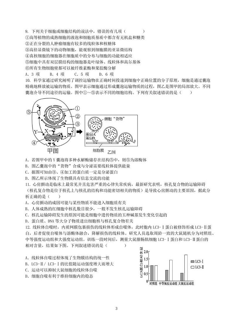 广东诗莞市2023_2024学年高一生物上学期11月期中试题pdf第3页