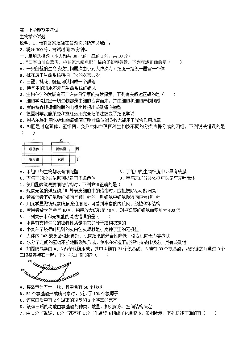 黑龙江省大庆市2023_2024学年高一生物上学期期中试题01