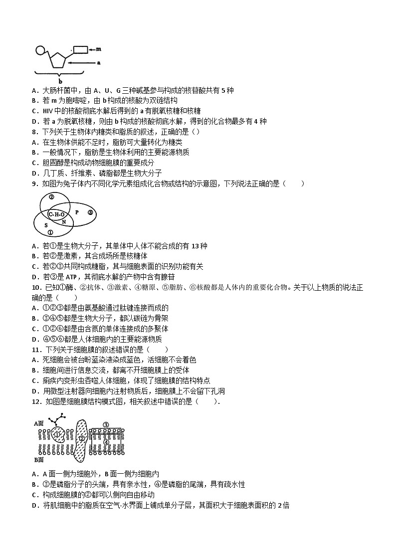 黑龙江省大庆市2023_2024学年高一生物上学期期中试题02