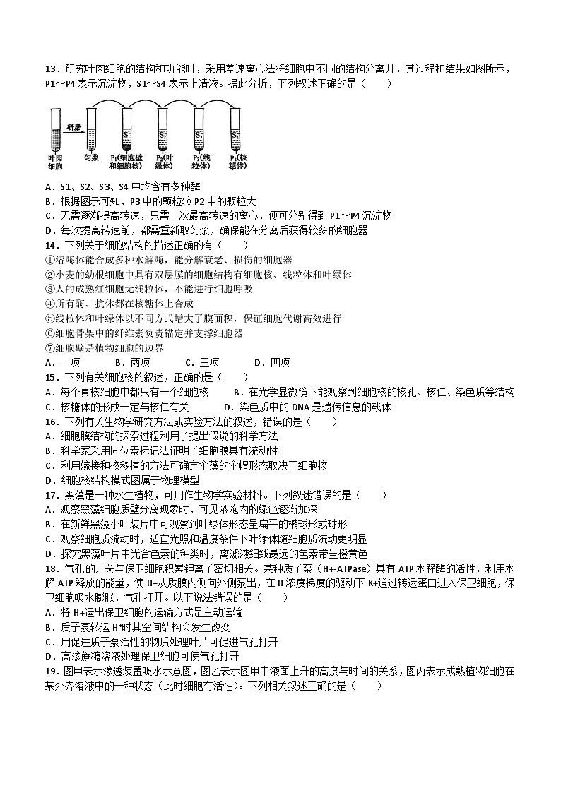 黑龙江省大庆市2023_2024学年高一生物上学期期中试题03