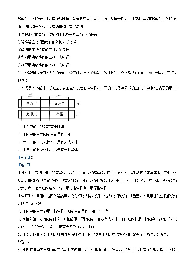 湖北省部分普通高中联盟2023_2024学年高一生物上学期期中联考试题含解析第3页