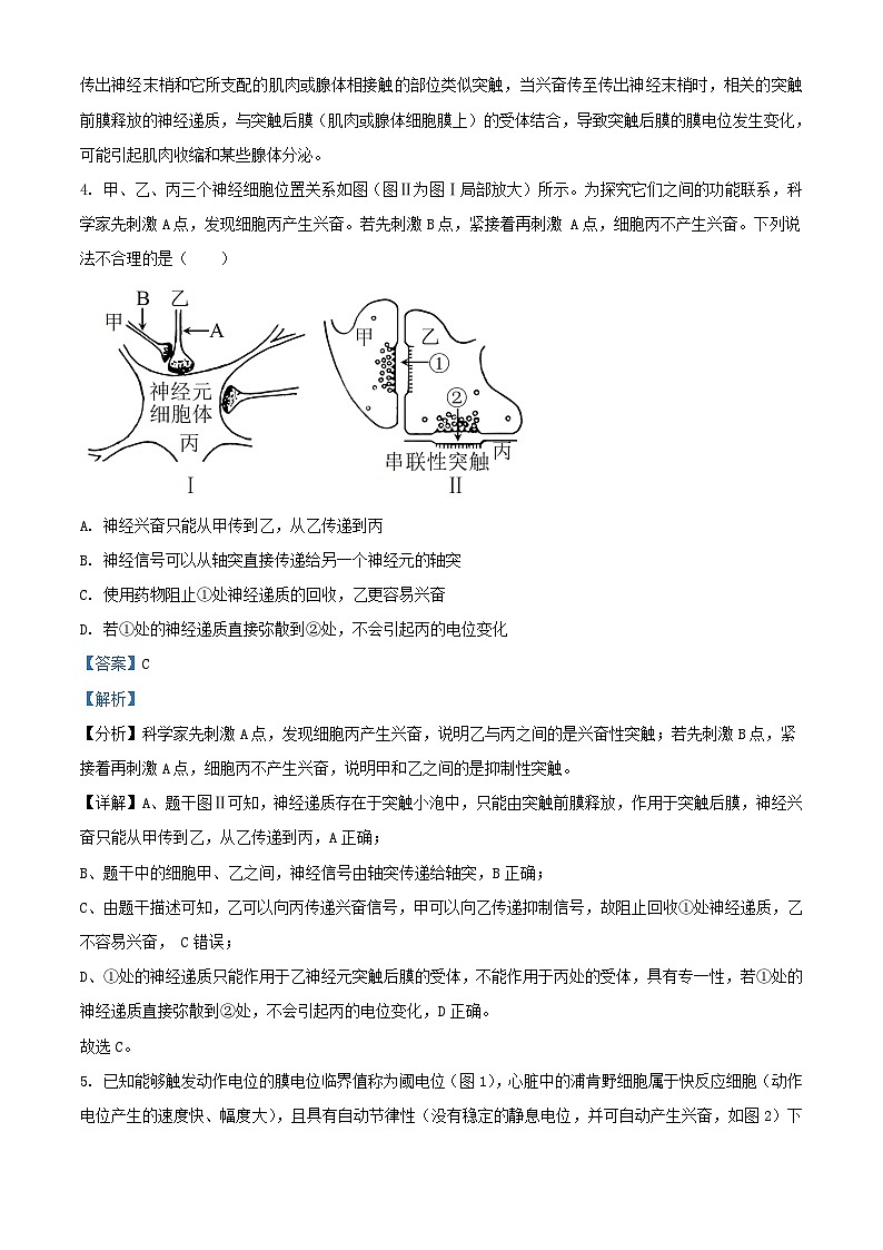 湖北省孝感市2023_2024学年高二生物上学期11月期中试题含解析第3页