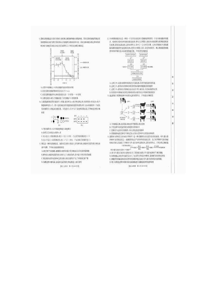 达州市高级中学2025届10月联考生物试题第2页