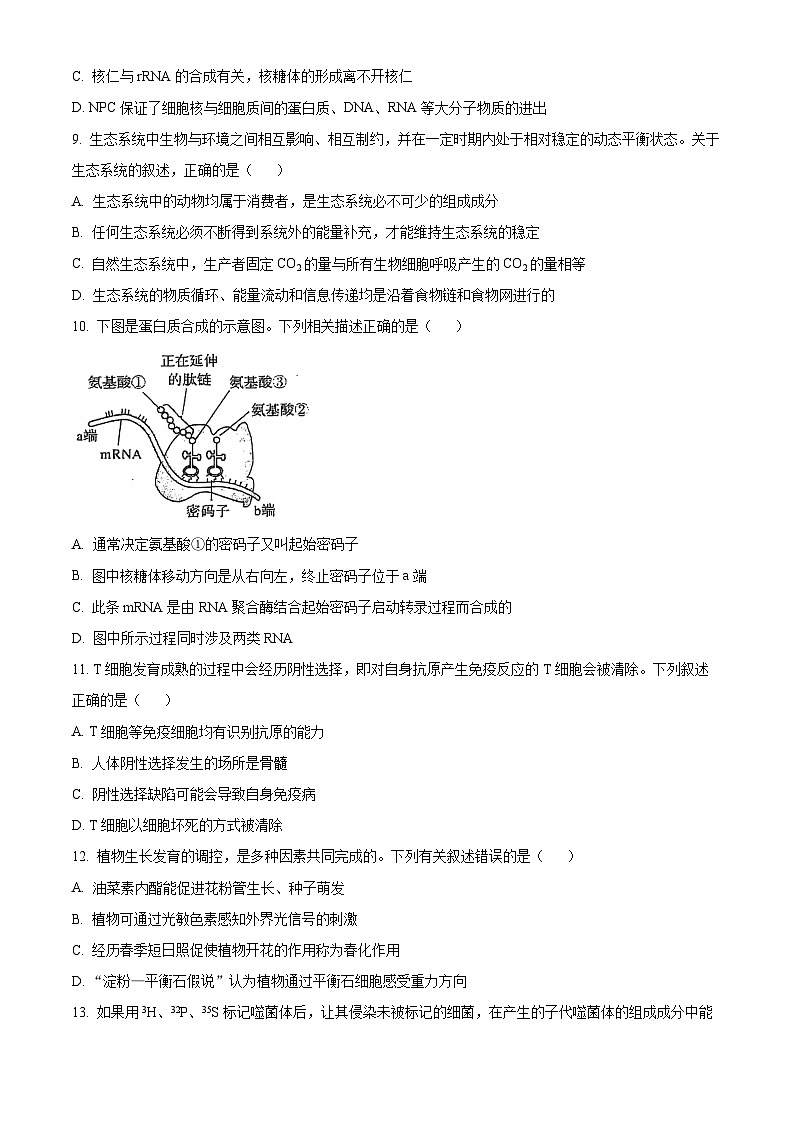 广东省揭阳市2024-2025学年高三上学期9月月考生物试题（Word版附解析）03