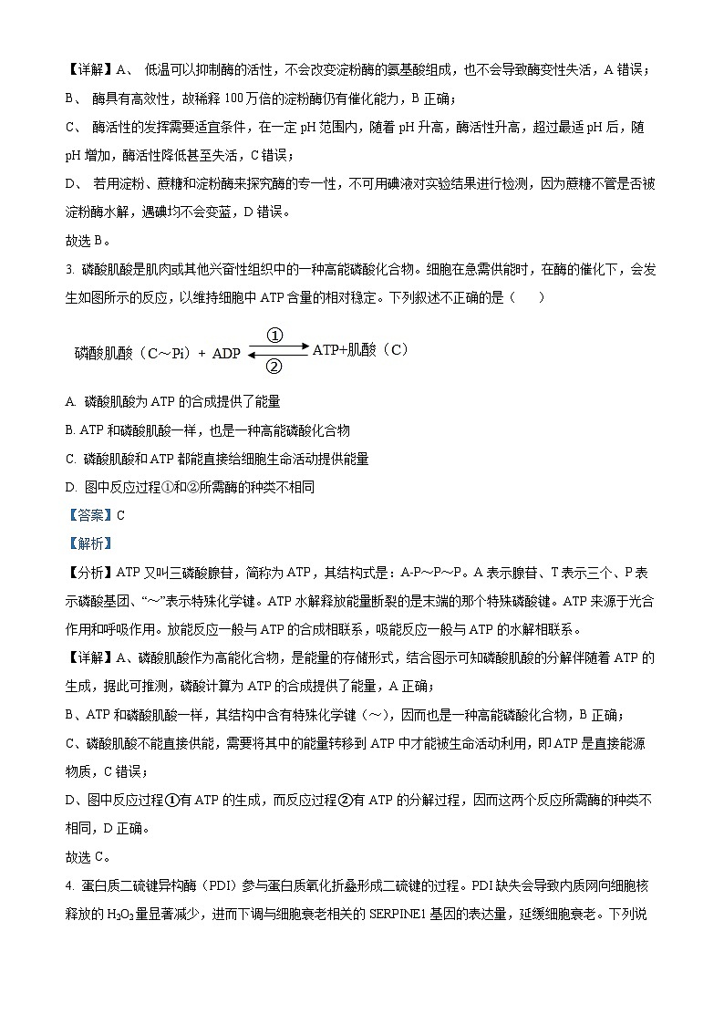 广东省揭阳市2024-2025学年高三上学期9月月考生物试题（Word版附解析）02