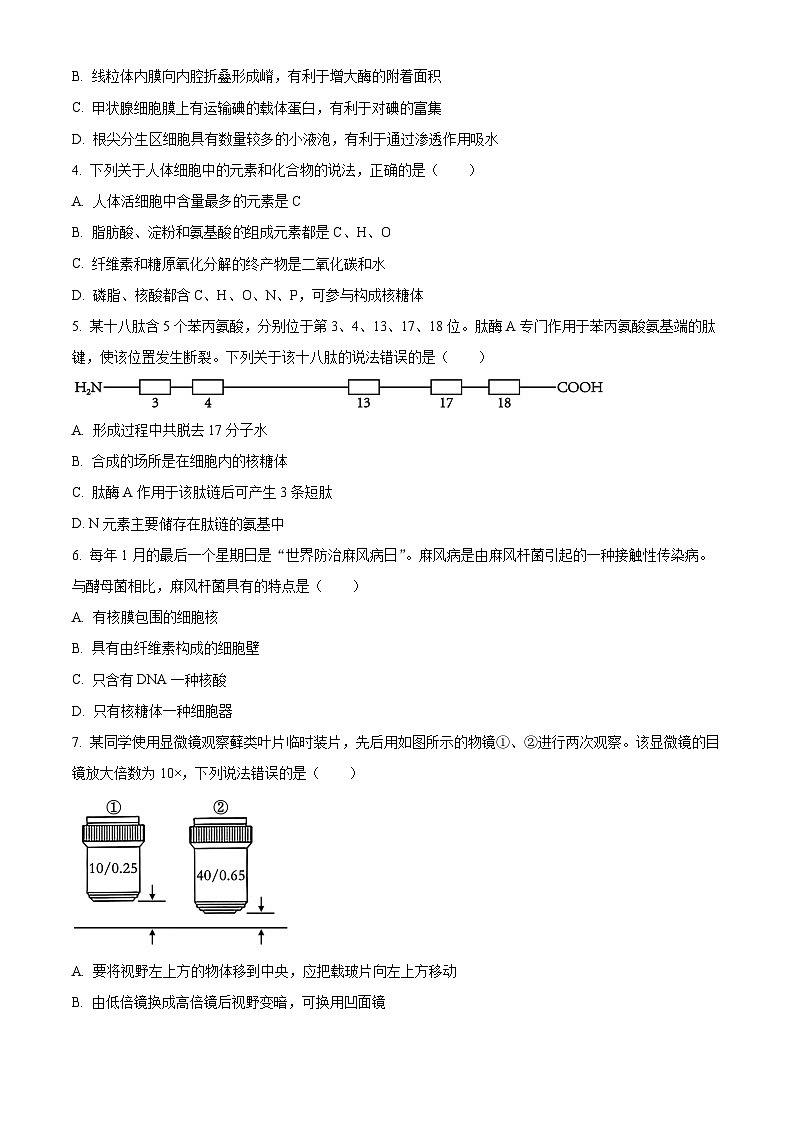 山东省青岛市2023-2024学年高一上学期1月期末生物试题第2页