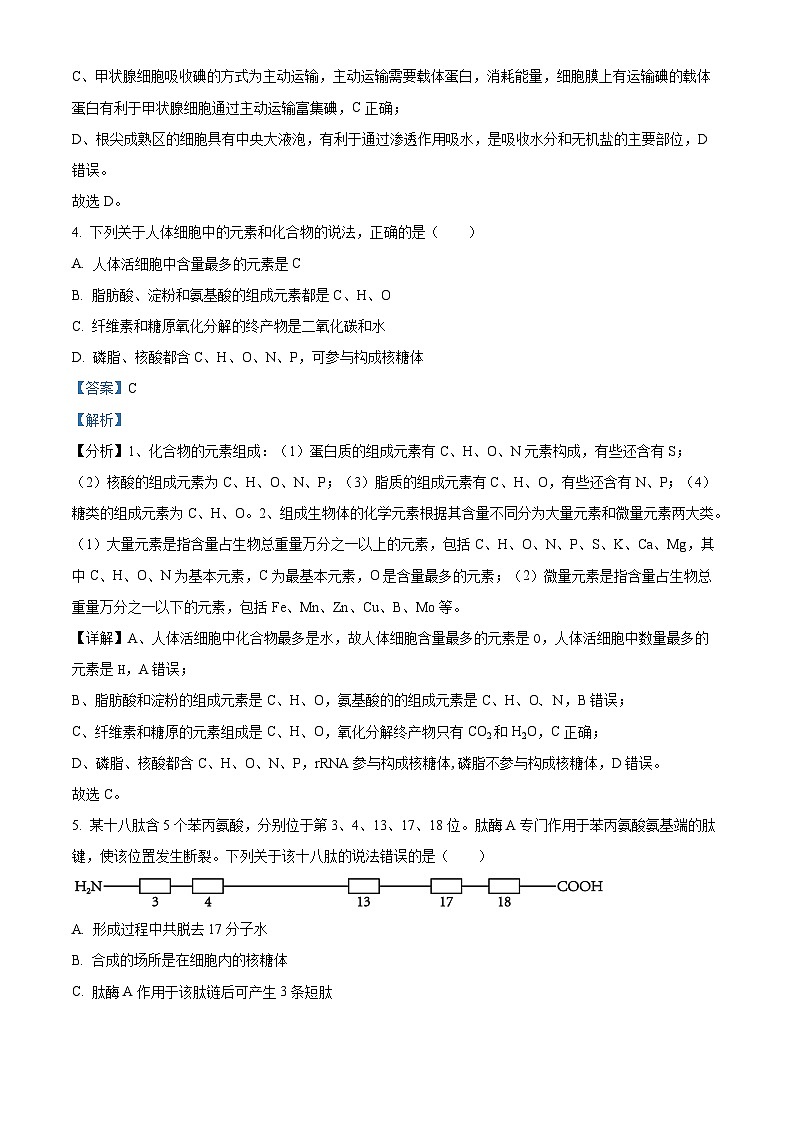 山东省青岛市2023-2024学年高一上学期1月期末生物试题word版含解析第3页