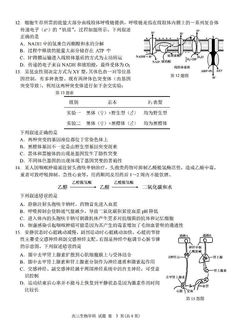 2024学年第一学期浙南名校联盟高三第一次联考 生物第3页