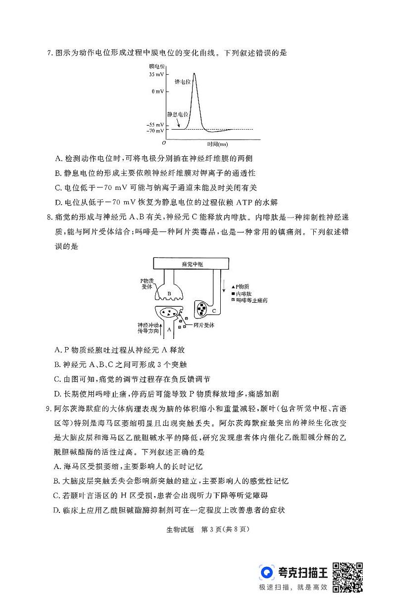 河南省青桐鸣大联考2024-2025学年高二上学期10月份月考生物试题第3页