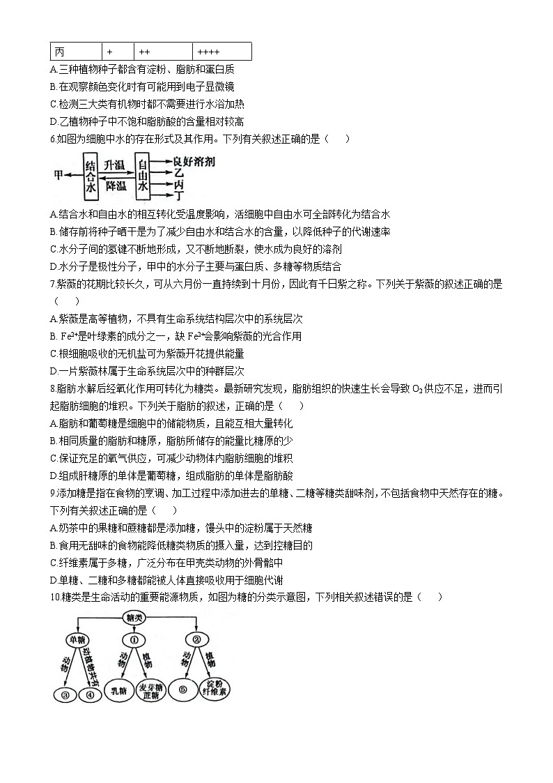 山西省运城市2024-2025学年高一上学期10月联考生物试题第2页