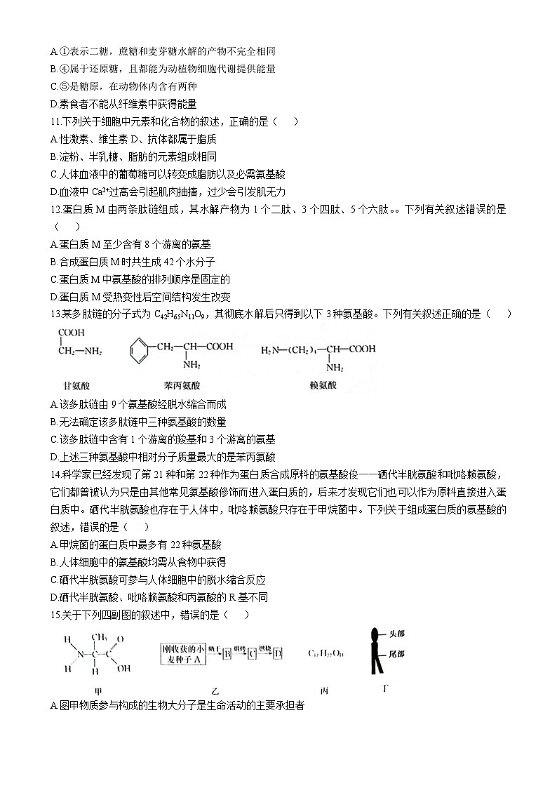 山西省运城市2024-2025学年高一上学期10月联考生物试题第3页