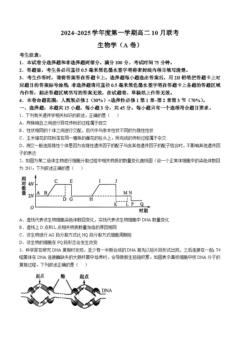 安徽省县中联盟2024-2025学年高二上学期10月月考生物试题(无答案)第1页