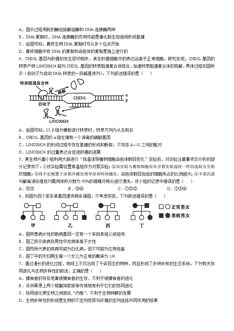 安徽省县中联盟2024-2025学年高二上学期10月月考生物试题(无答案)第2页