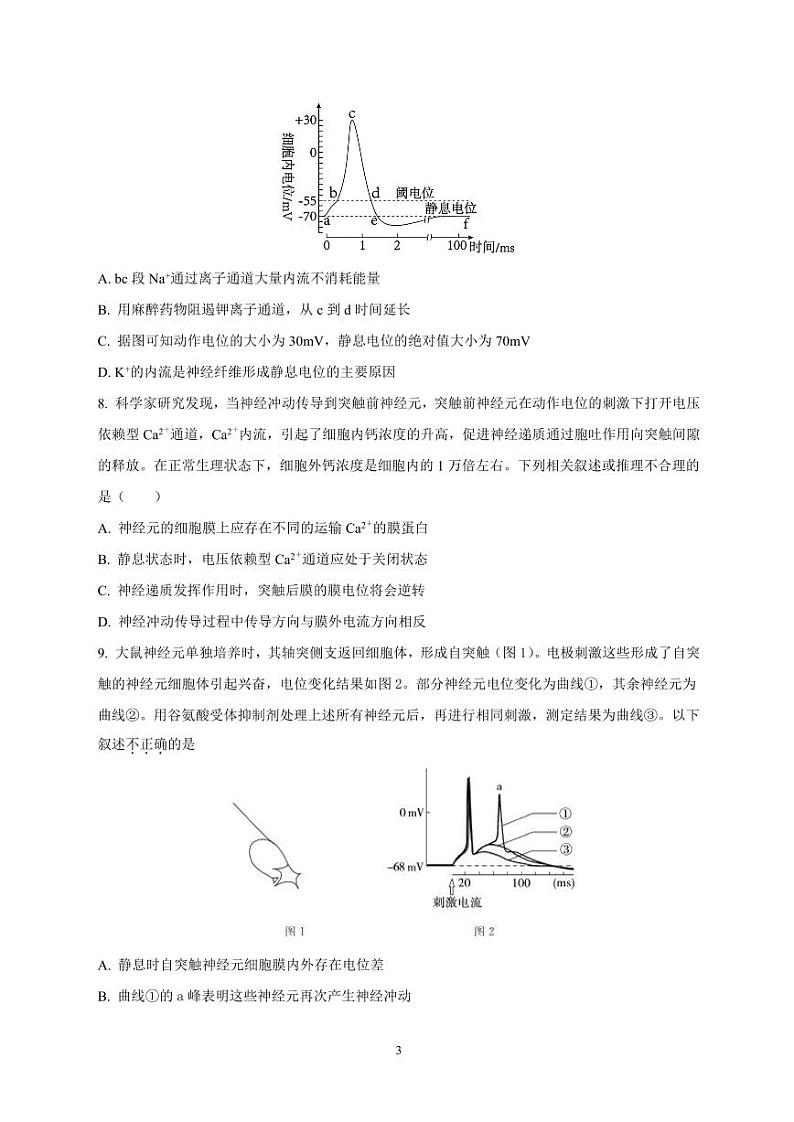 山东省济宁市邹城市第一中学2024-2025学年高二上学期10月月考生物试题第3页