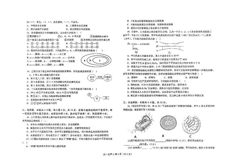 辽宁省辽东南协作体2024-2025学年高一上学期10月月考生物试卷02