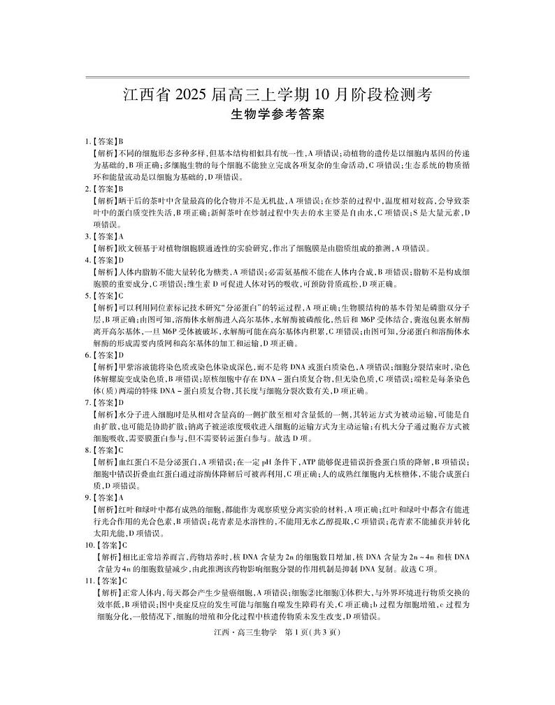 江西省稳派上进2025届高三上学期10月阶段检测考生物01