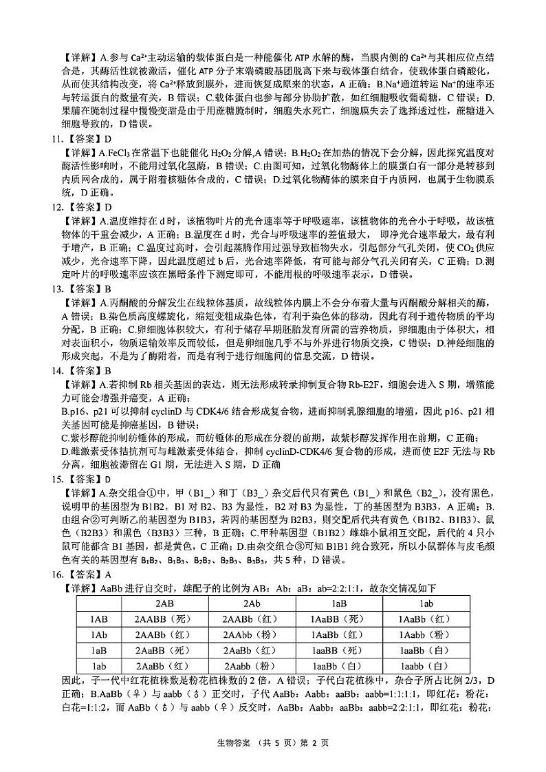 2024年湖北省新八校协作体高三10月联考 生物答案第2页