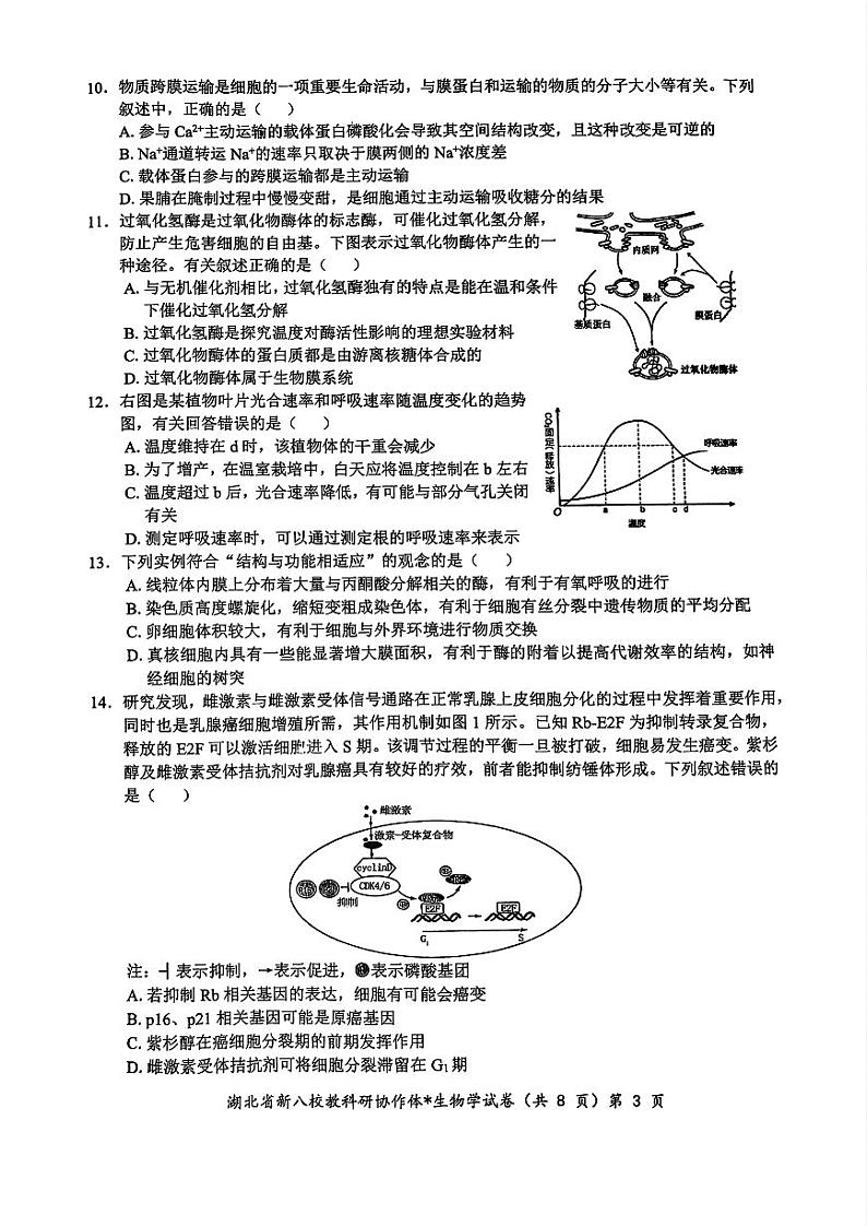 2024年湖北省新八校协作体高三10月联考 生物试卷第3页
