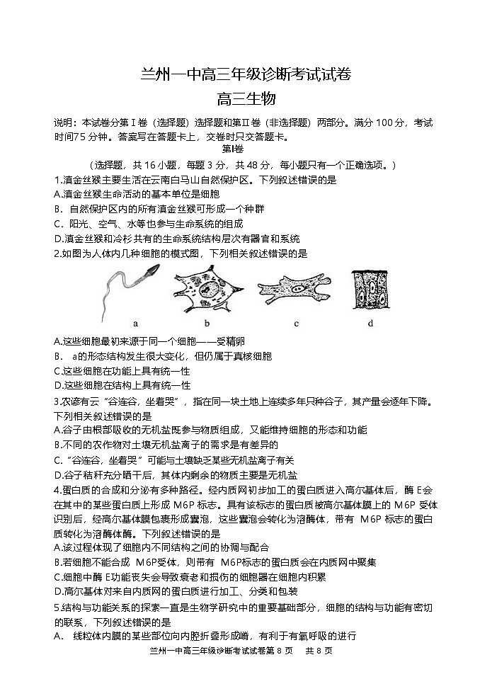 甘肃省兰州2024-2025学年高三9月诊断考试试卷+生物第1页