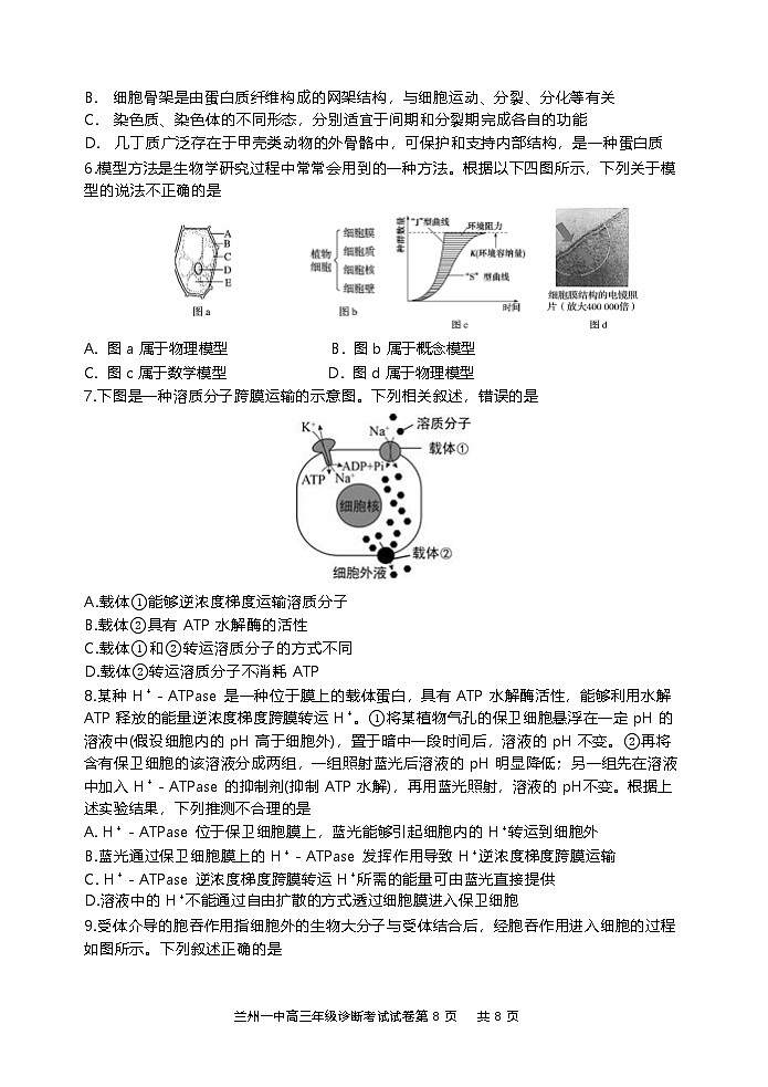 甘肃省兰州2024-2025学年高三9月诊断考试试卷+生物第2页