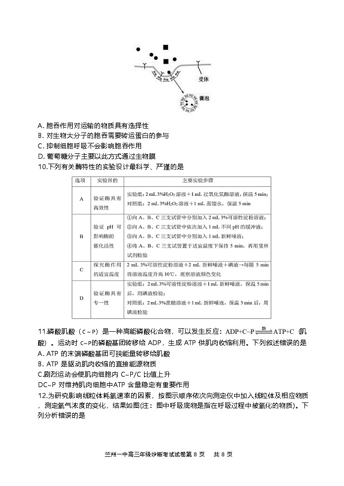 甘肃省兰州2024-2025学年高三9月诊断考试试卷+生物第3页