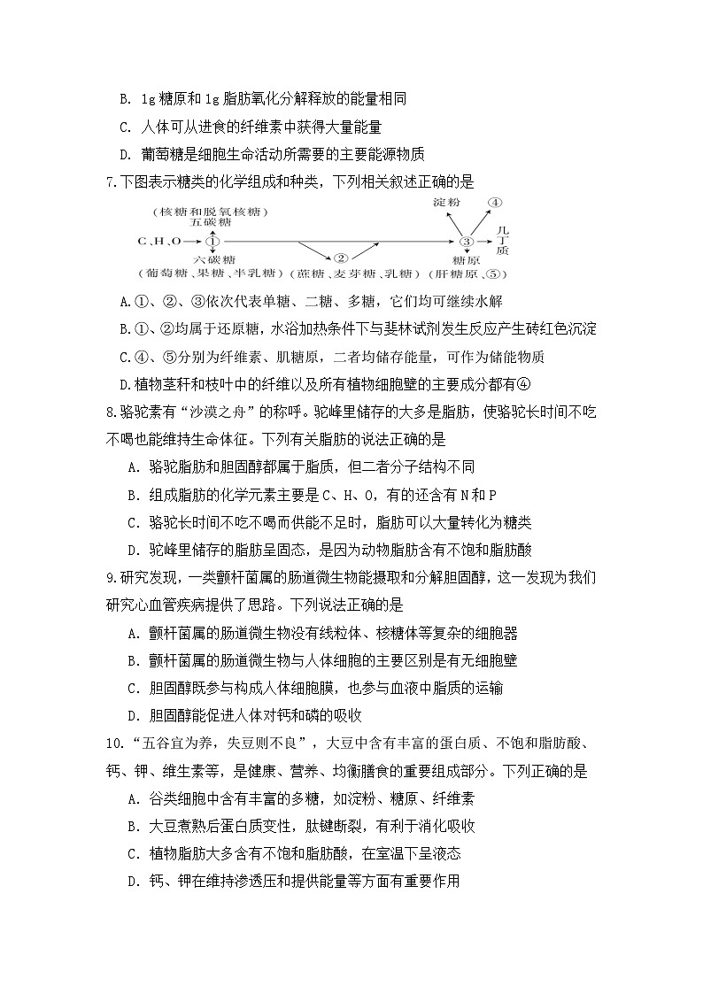 福建省龙岩市连城县福建省连城县第一中学2024-2025学年高一上学期10月月考生物试题02