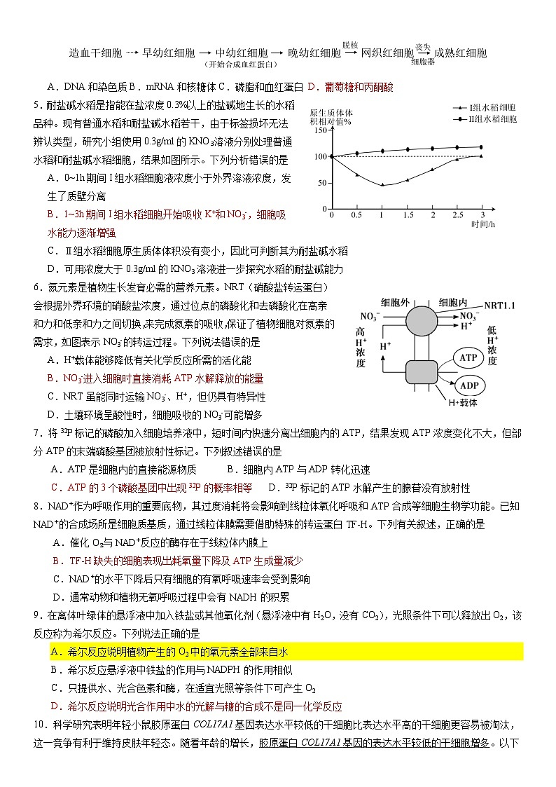 广东省华南师范大学附校2025届高三综合测试（一）生物（含答案）02