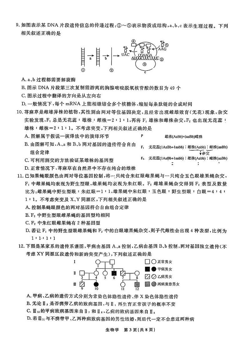 辽宁省名校联盟2025届高三上学期10月联考生物第3页