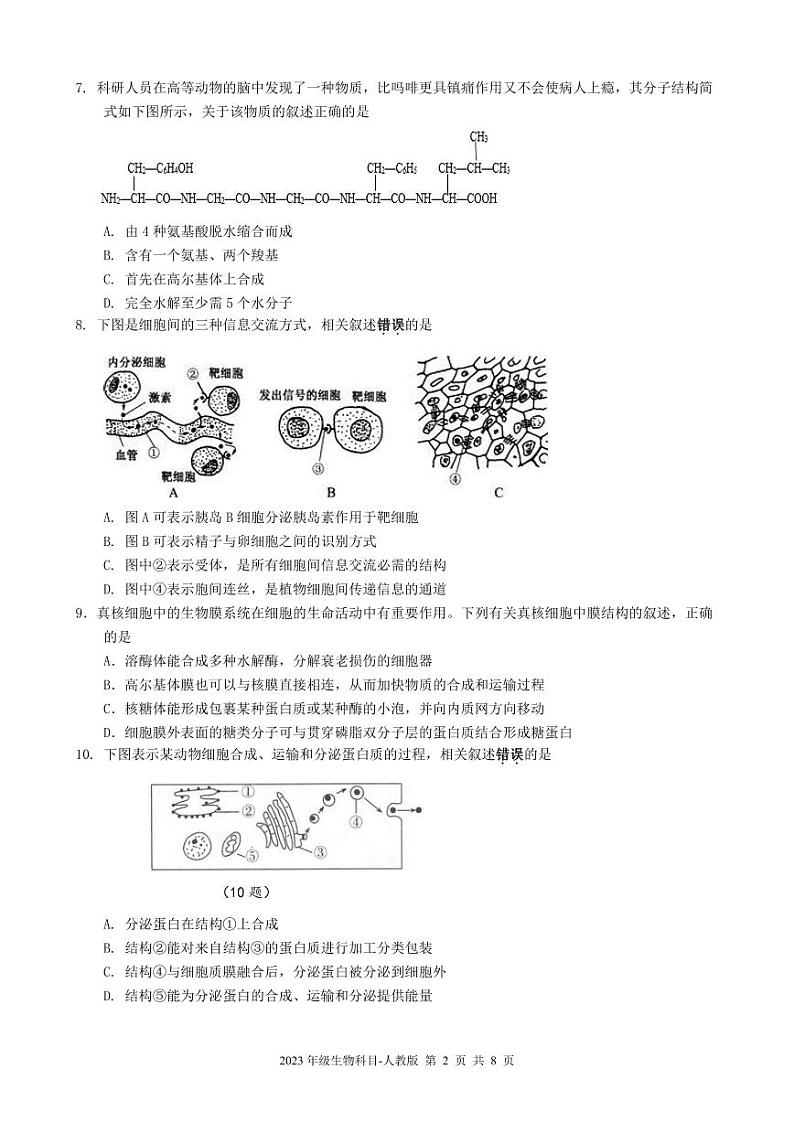 四川省雅安市天立集团2023-2024学年高一上学期期中联考生物试题（PDF版附答案）第2页