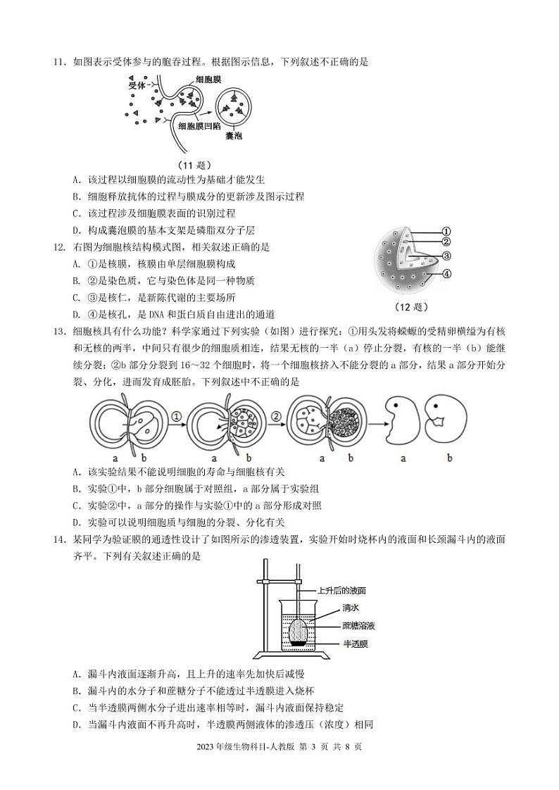 四川省雅安市天立集团2023-2024学年高一上学期期中联考生物试题（PDF版附答案）第3页