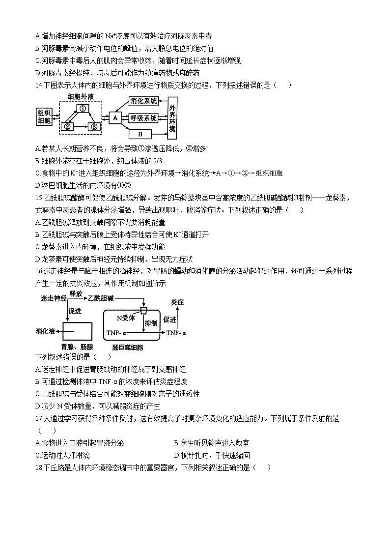 浙江省杭州市精诚联盟2024-2025学年高二上学期10月联考生物试题（Word版附答案）03