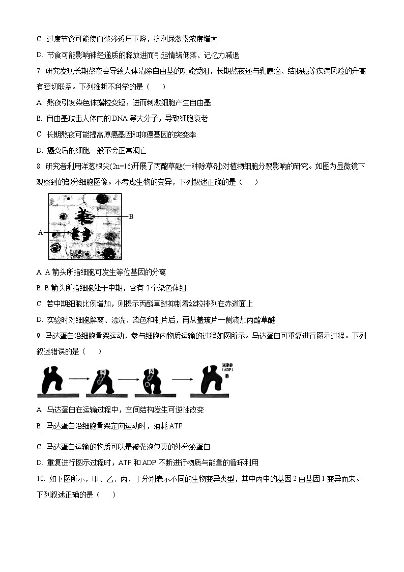 浙江省杭州市周边重点中学四校2024-2025学年高二上学期10月联考生物试题（Word版附解析）02