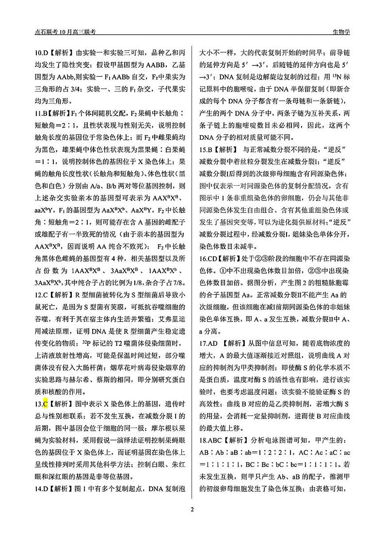 辽宁省点石联考2024-2025学年度上学期高三年级10月阶段考试生物试题答案第2页