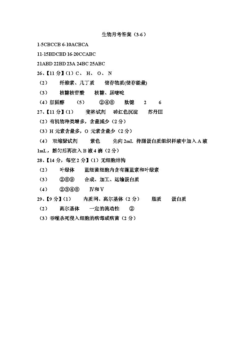 生物月考答案第1页