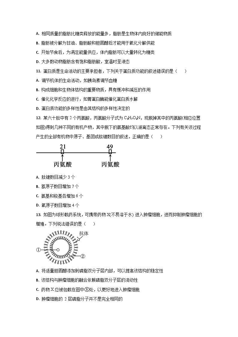 实验中心2024-2025学年第一学期学业质量检测生物学科第3页