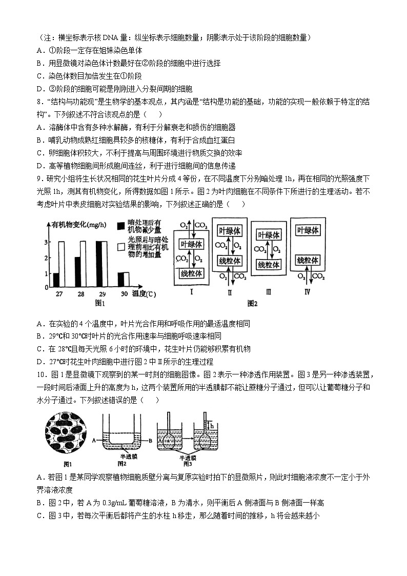 天津市北辰区天津市第四十七中学2024-2025学年高三上学期10月月考生物试题第3页