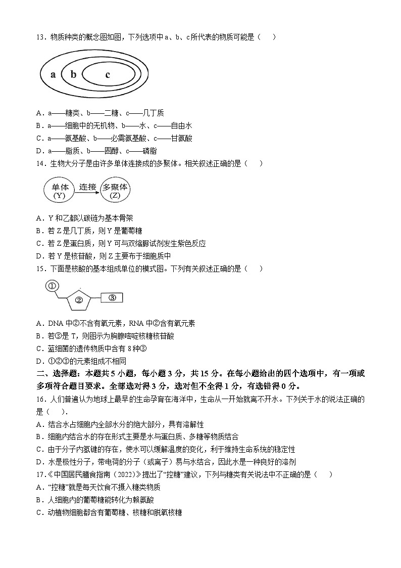 辽宁省辽东南协作体2024-2025学年高一上学期10月月考生物试卷第3页