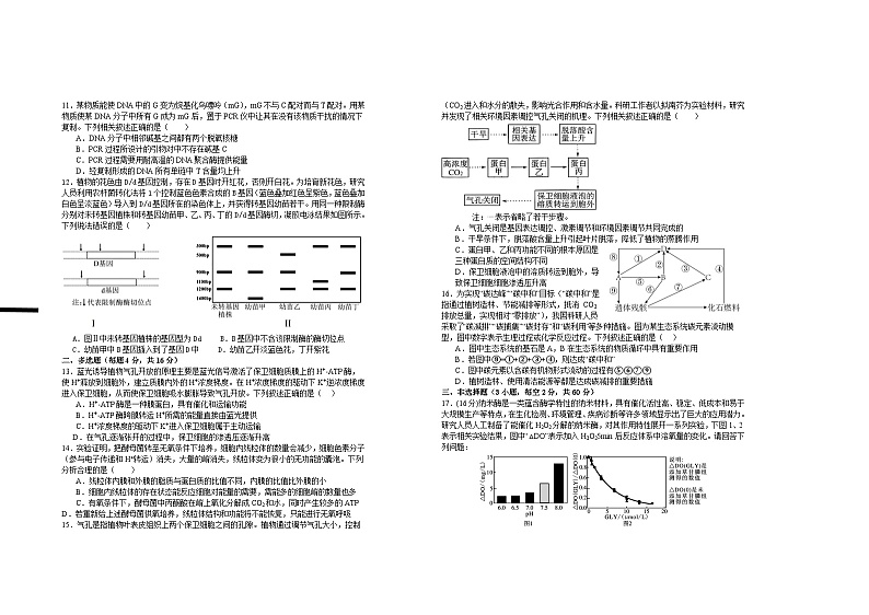江西省宜春市上高县二中2024-2025学年高三上学期10月月考生物试题02