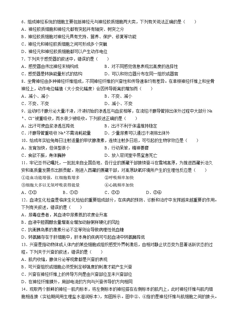 黑龙江省龙东联盟2024-2025学年高二上学期10月月考生物试卷第2页