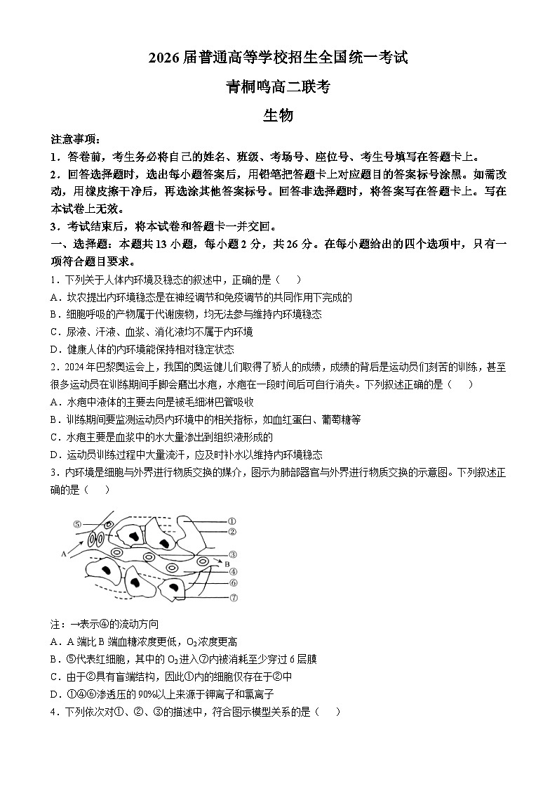 河南省十校2024-2025学年高二上学期10月月考生物试题第1页