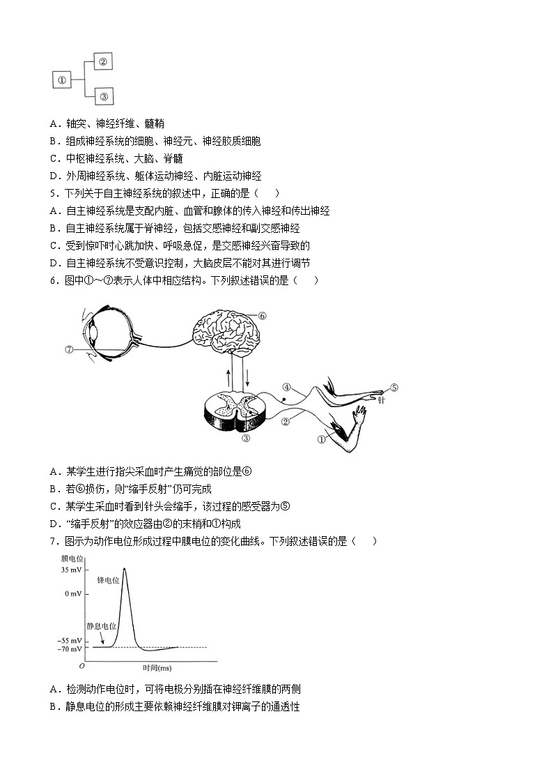 河南省十校2024-2025学年高二上学期10月月考生物试题第2页