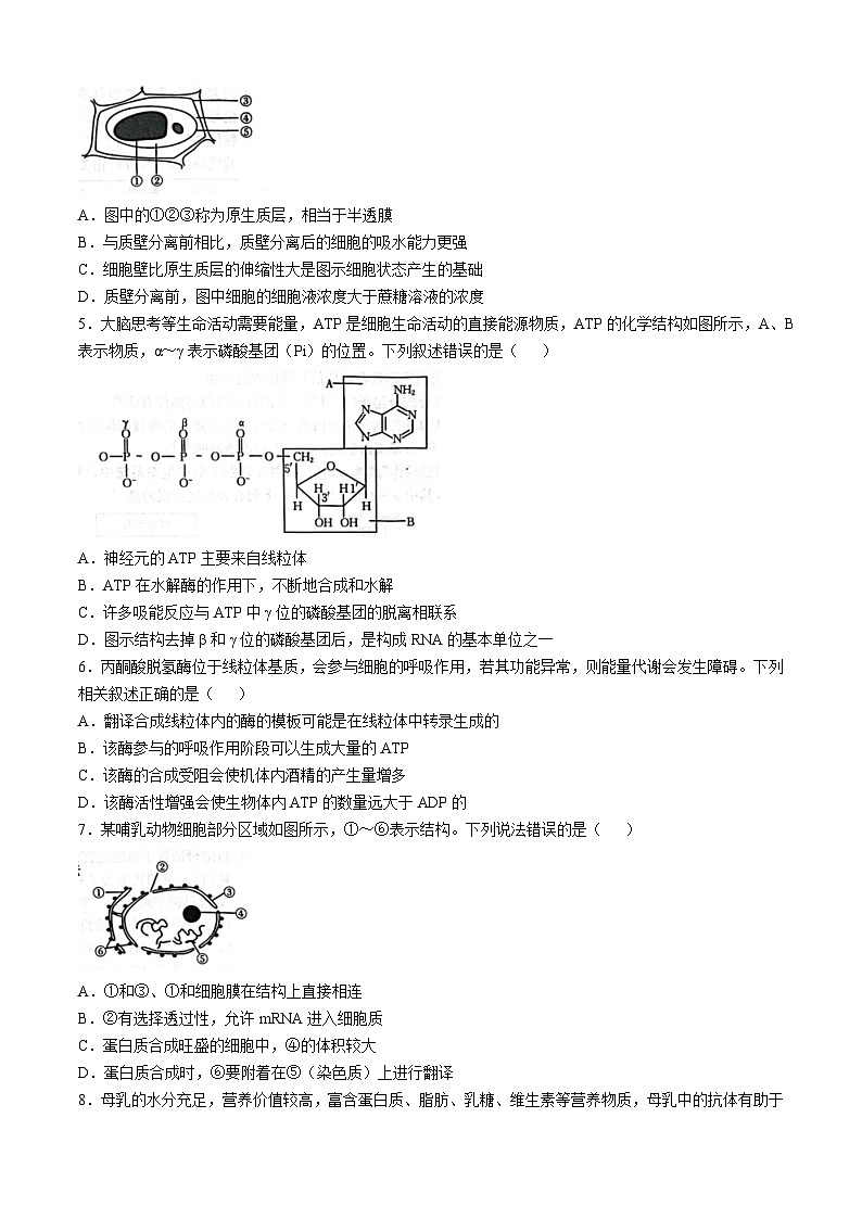 河北省邢台市之间联盟2024-2025学年高三上学期第一次月考（10月）生物试题第2页