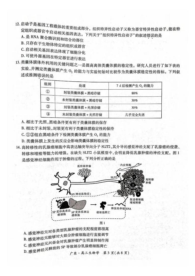 生物丨广东省2025届高三上学期10月阶段检测考生物试卷及答案第3页
