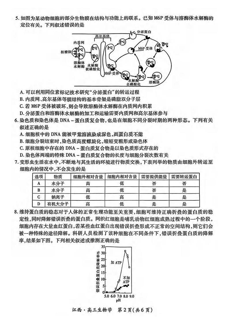 生物丨江西省稳派智慧上进联考2025届高三10月联考生物试卷及答案第2页