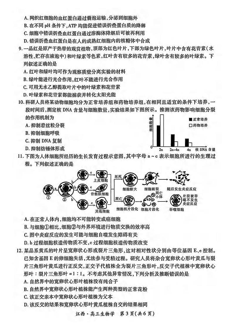 生物丨江西省稳派智慧上进联考2025届高三10月联考生物试卷及答案第3页